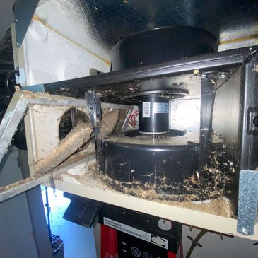 HRV & ERV filter and housing cleaning to boost indoor air quality and airflow efficiency. 