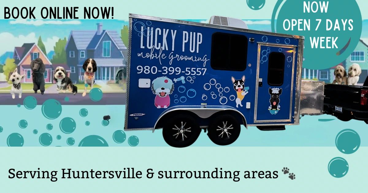 Hot lucky puppy mobile grooming Discount