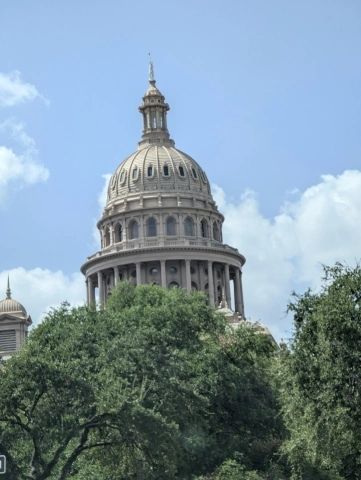 Dome of a government building above trees.