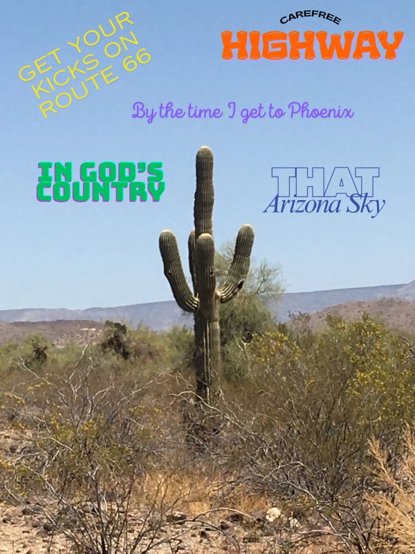 Cactus in a desert with Route 66 and Arizona-themed text.
