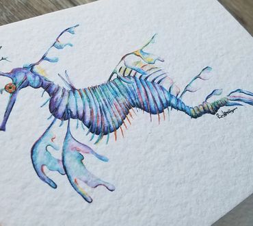 Sea dragon colored pencil drawing