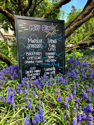 Chalkboard menu of May drinks surrounded by purple flowers and greenery.