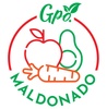Gpo Maldonado