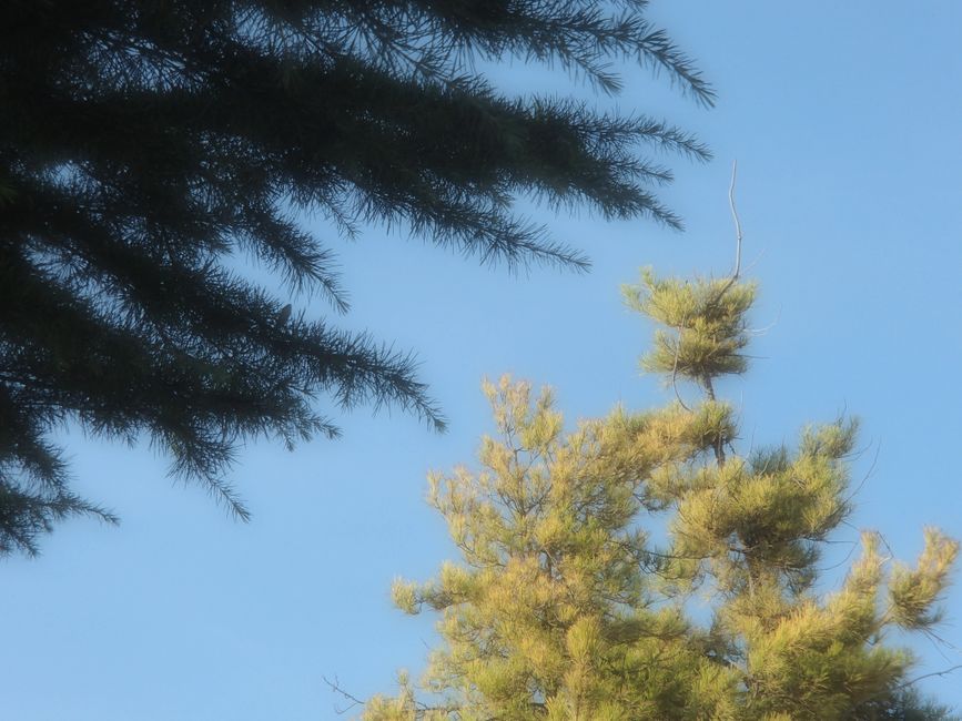I took this image by my house It looks unique, and we need to see a lot more of uniqueness in the wo
