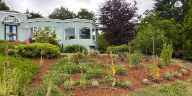 A house with a large garden and various plants on a hillside.