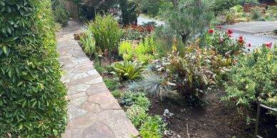 A stone pathway beside a lush garden with various plants and flowers.
