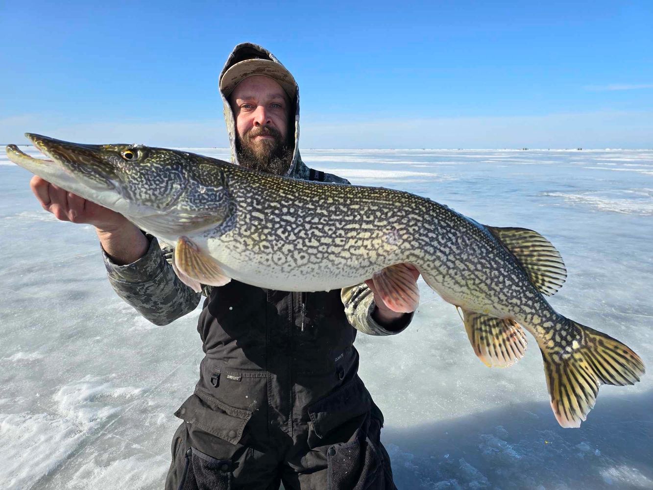 Man holding a large fish on a frozen lake under clear blue sky.