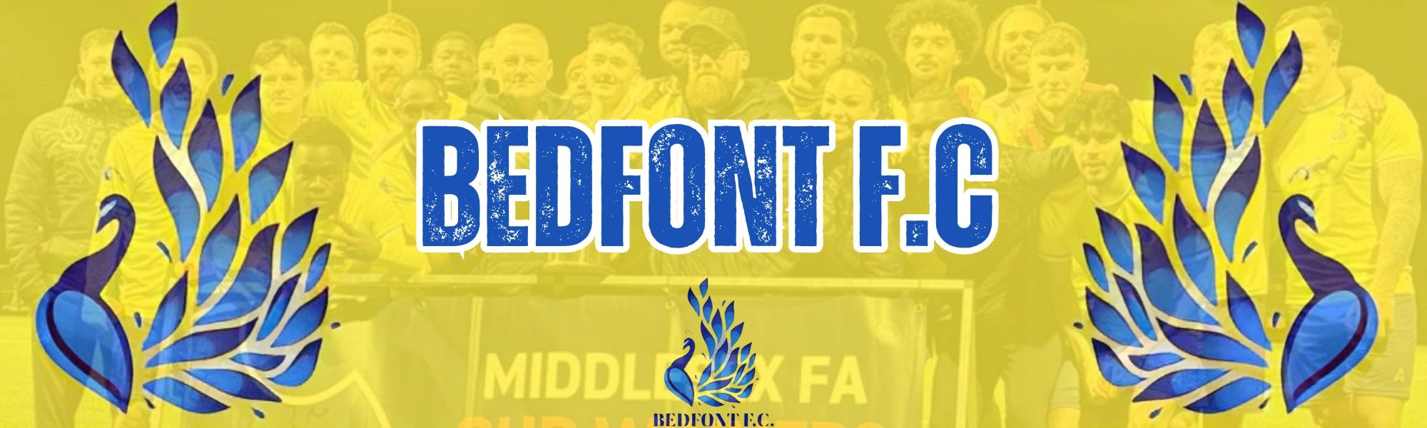 Bedfont and Feltham Football and Social Club