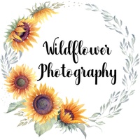 Wildflower photography