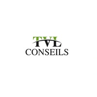 TVLConseils - Coaching ProfessionNel