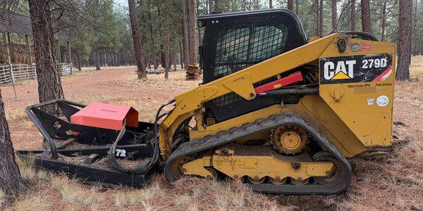 CAT 279D compact track loader parked in a pine forest clearing.