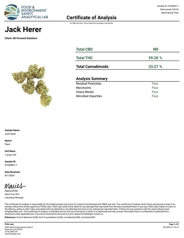 Jack herer thca flower 