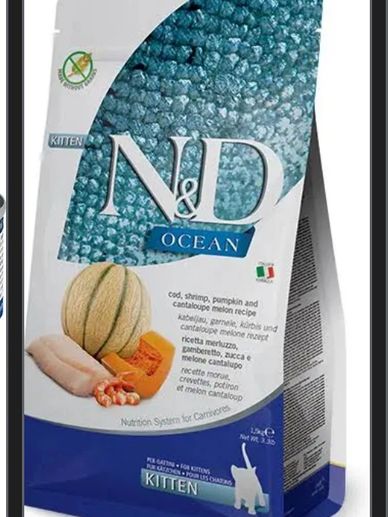 N&amp;D Ocean kitten food with cod, shrimp, pumpkin, and cantaloupe flavors.