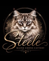 Steele Maine Coons Cattery