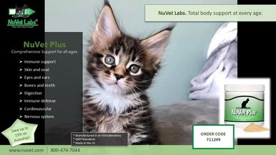 Adorable kitten next to NuVet Plus supplement for pet health support.