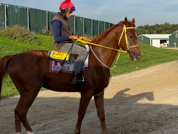 Thomas Benjamin Whiskey Run Stables