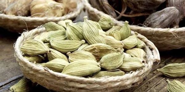 Cardamomo