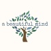 a beautiful mind
