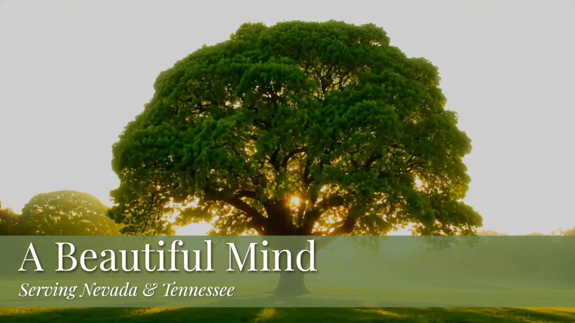 A Beautiful Mind LLC - Therapy & Counseling Services