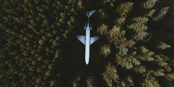 An overhead view of an airplane in the woods