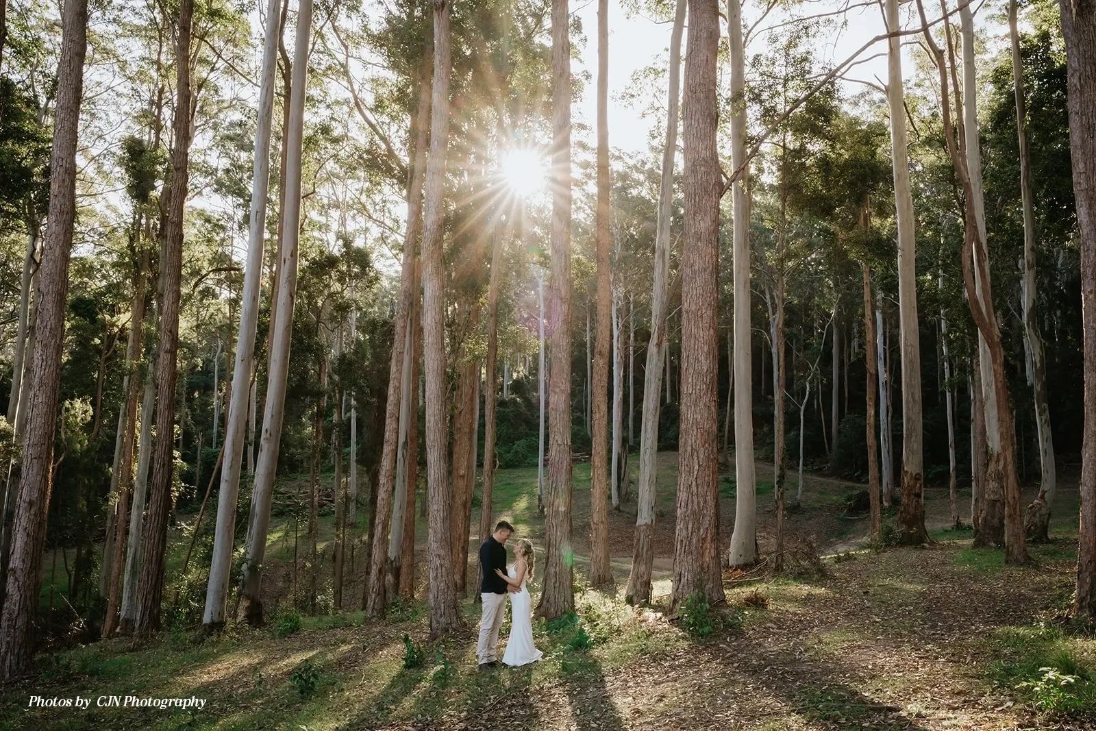 Photo by Chris Neil Photography