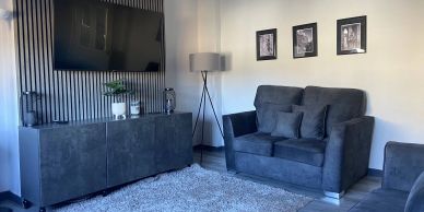 Modern living room with gray furniture and TV.