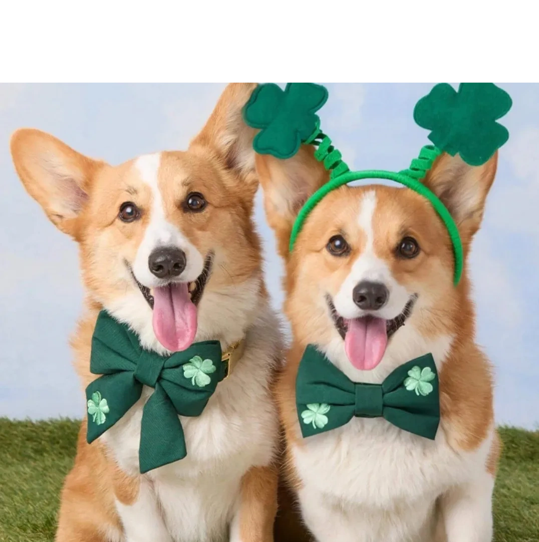 Furrever Friends Pet Boutique & Grooming Salon