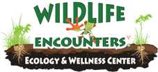 Logo for Wildlife Encounters