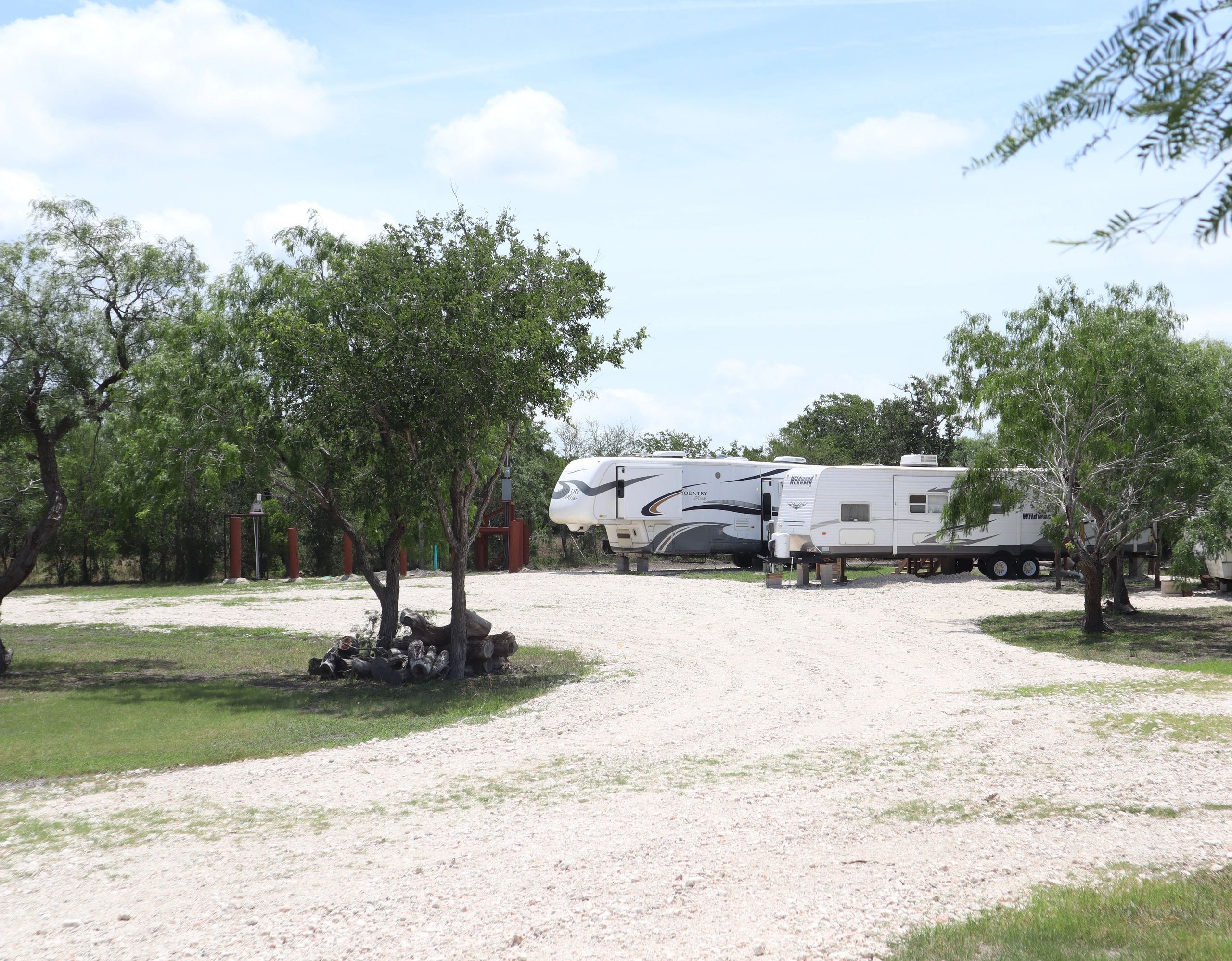 RVs parked among trees under a clear sky.