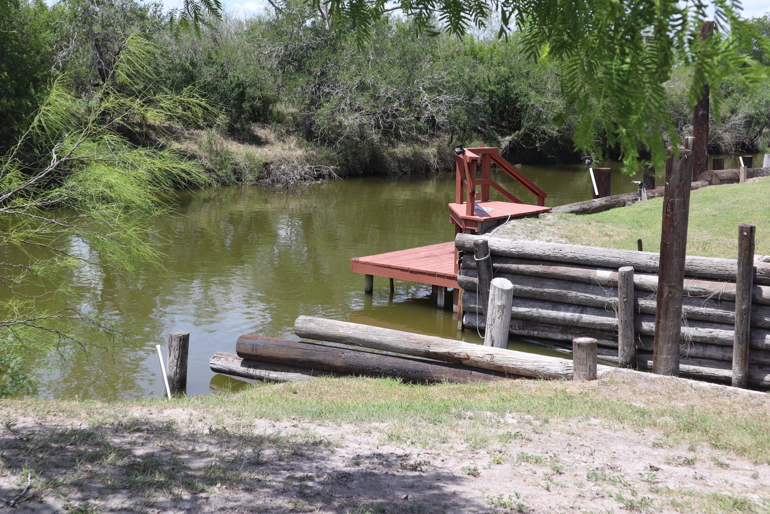 Wooden dock on a calm river surrounded by trees.