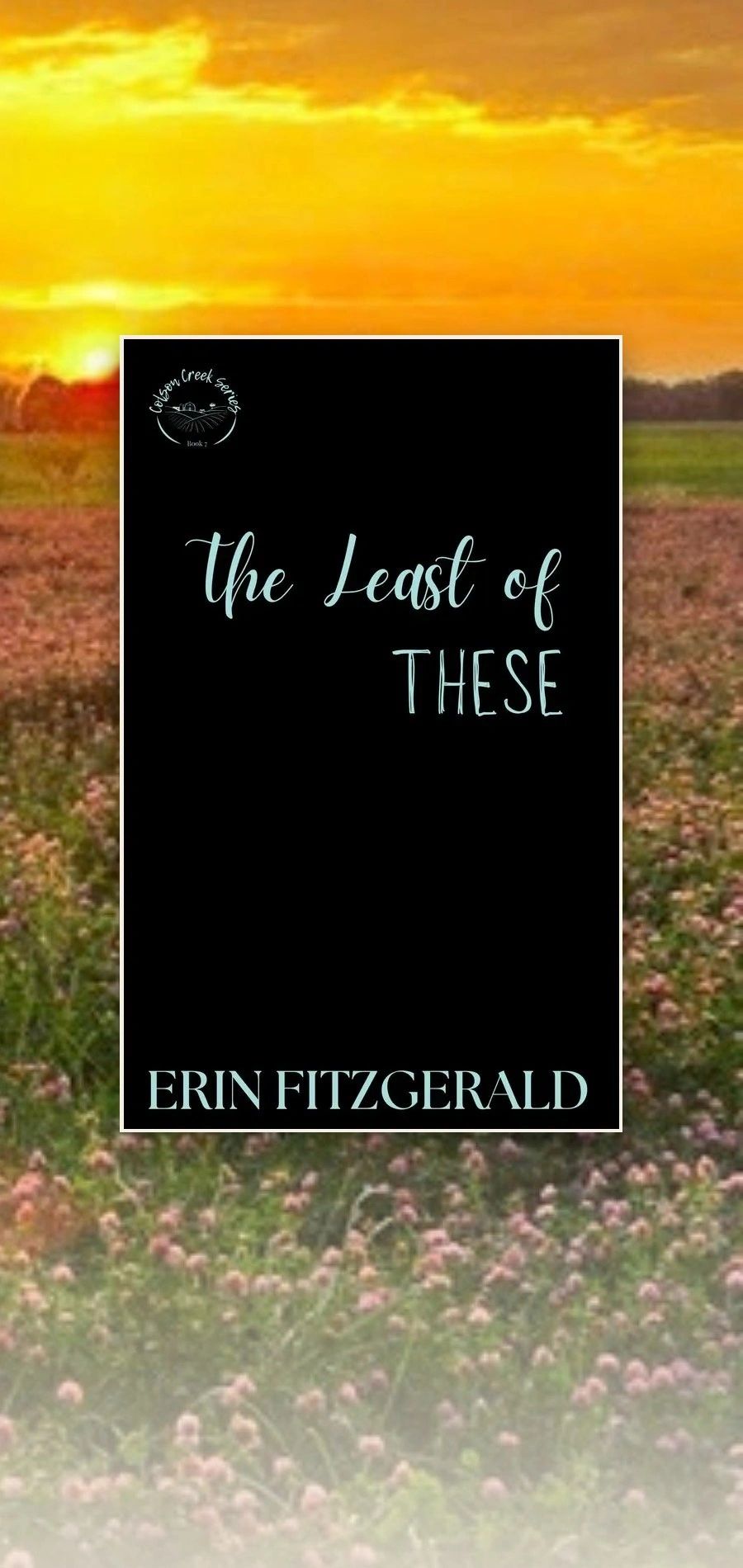 The Least of These (Colson Creek #7) by Erin FitzGerald, book cover