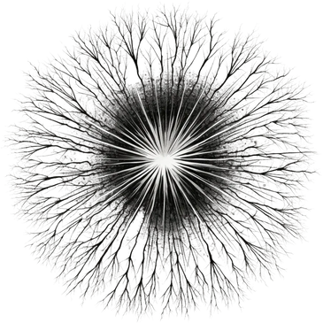 Mycelium