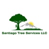 Santiago Tree Services