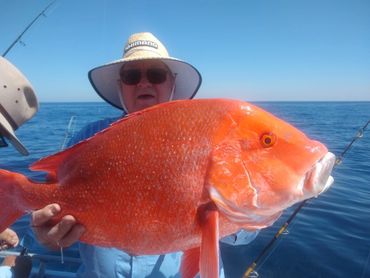 Red emperor on a bundaberg fishing charter