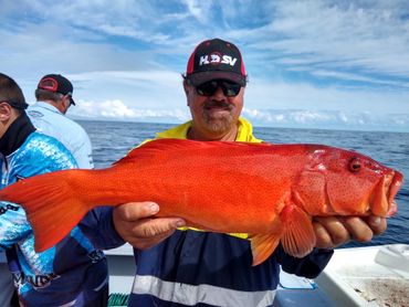 Coral Trout on a fishing charter from bundaberg