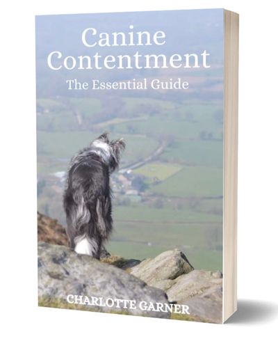 Canine Contentment - The Essential Guide book cover