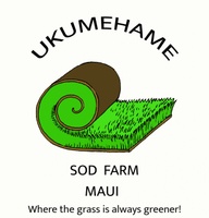 MAUI SOD