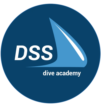 DSS dive academy logo with a blue sail-like design on a dark blue circle.