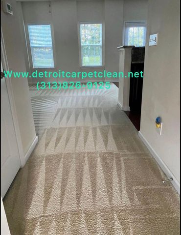 Steam carpet cleaning Detroit MI