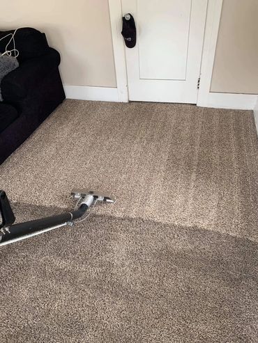 Detroit carpet cleaning residential