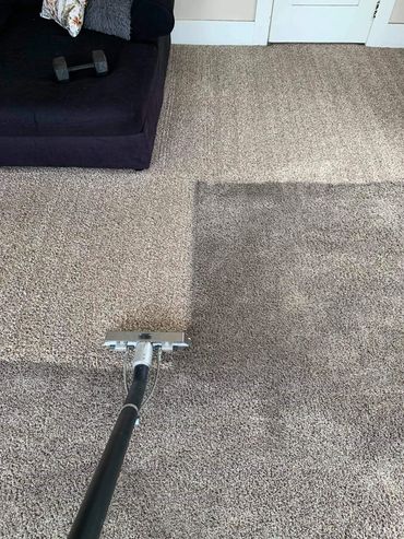 Steam cleaning, dirty carpet, Detroit, Michigan