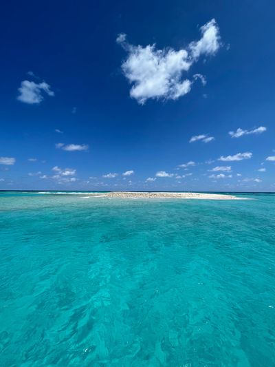 Conch reef Tavernier Florida 