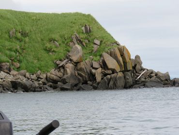 Walrus Island Alaska