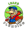 leaksplumbingsc.com