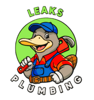 leaksplumbingsc.com