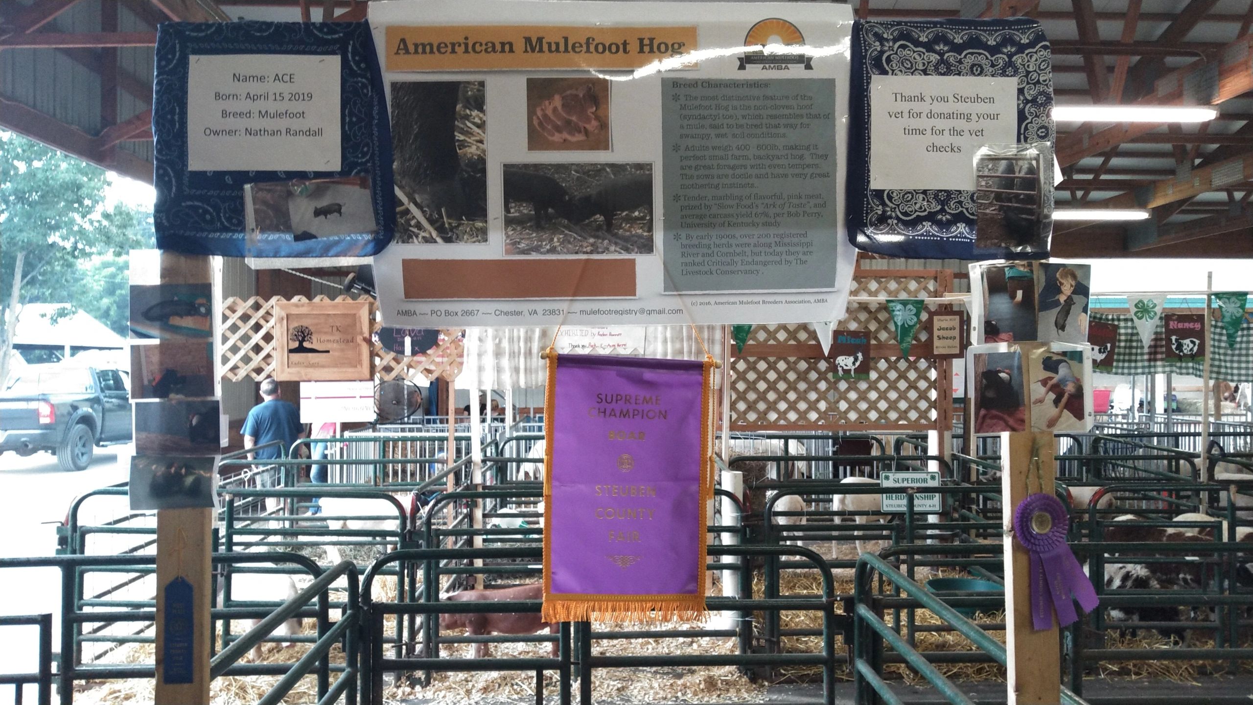 Judges Scale of Points