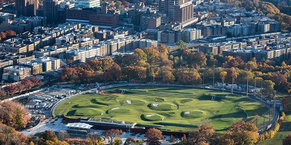 Croton green roof after establishment.