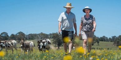 NSW authorities reject Yass's border buffer zone but council to dig in