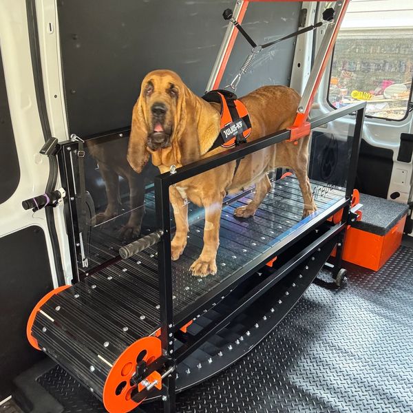 Bloodhound on slat mill
