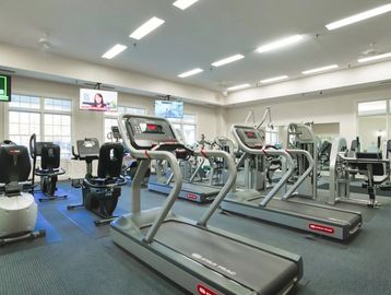 Modern gym with treadmills and exercise machines in a bright room.
